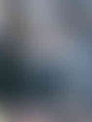 Needle up/down button on a Bernina 590