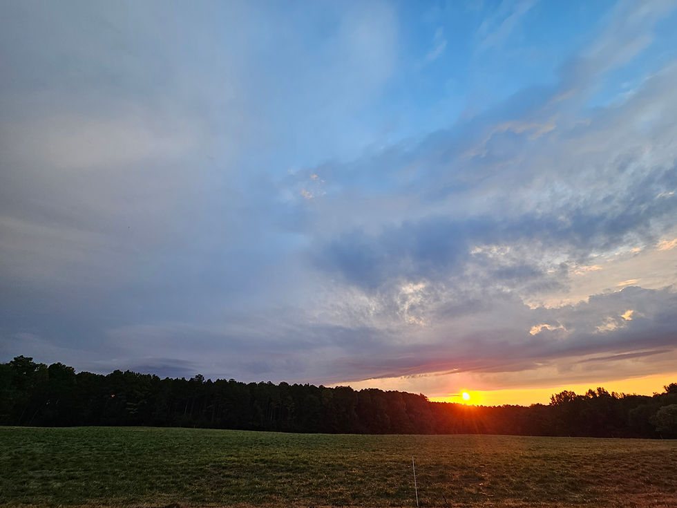 20231020_075417.jpg