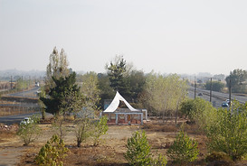 08.jpg