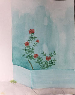 rosewall