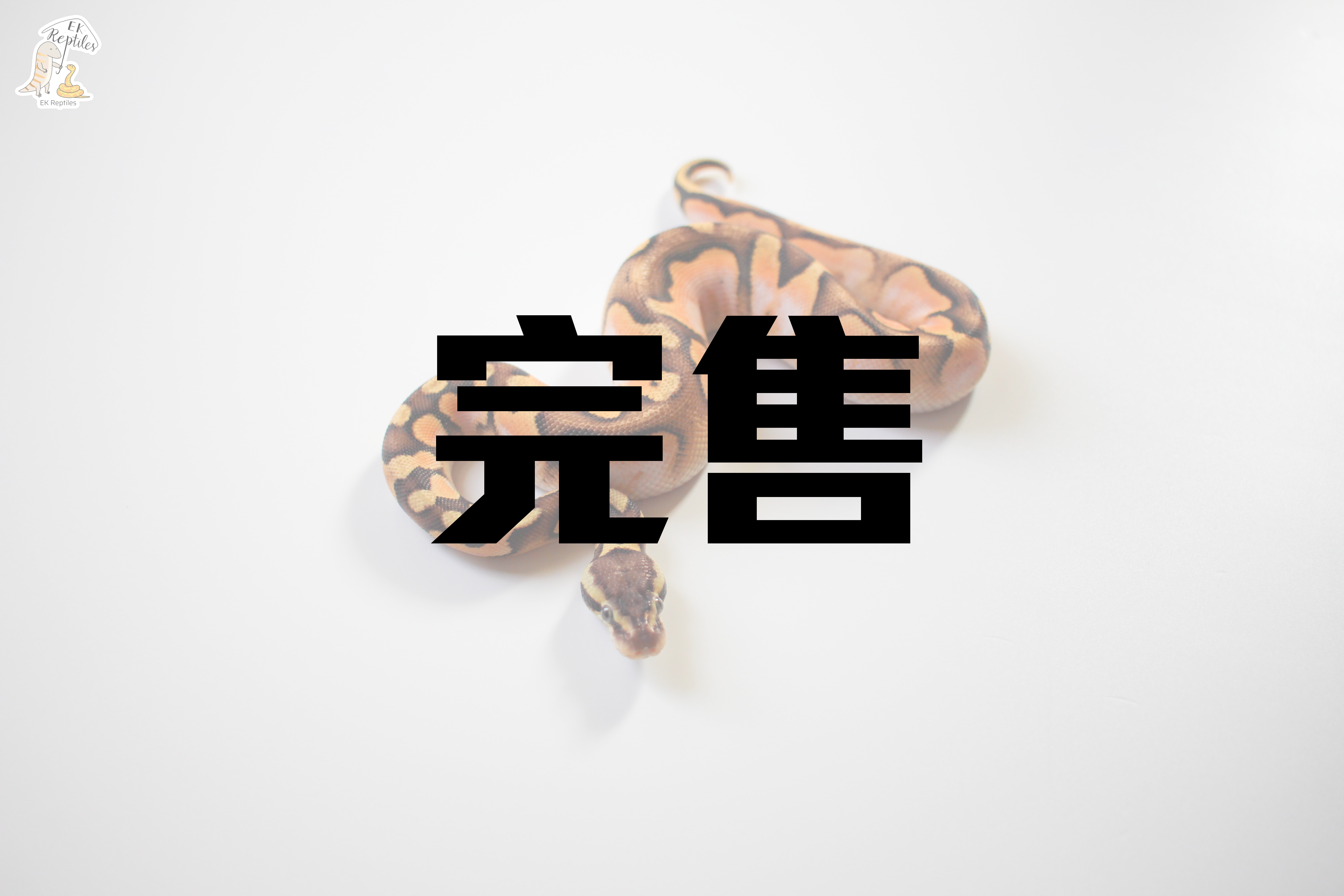 超級橘夢 淡彩 印花布 (編號2022M40)