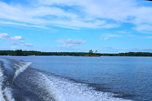 Sparrow Lake.jpg