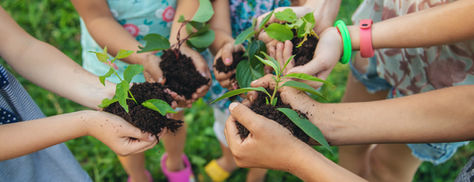 Educazione all'ambiente sin da giovani: costruire un Futuro Sostenibile