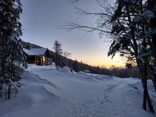 Snowy Night