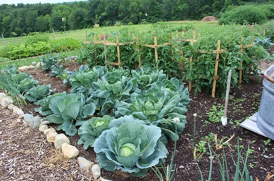 Local Agriculturesullivan County Nhconservation District - 