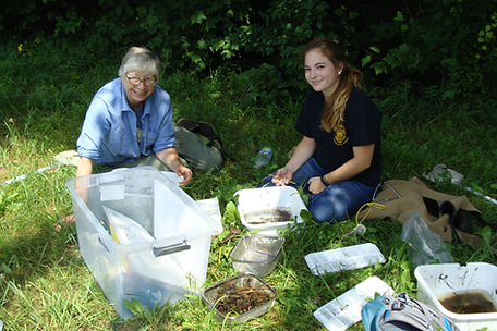 volunteers collecting water quality data on ponds