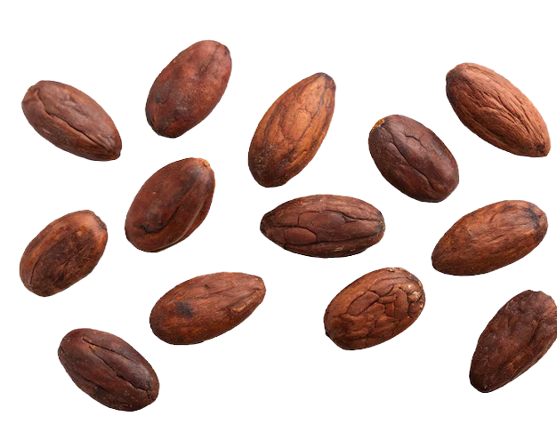 lot-cocoa-beans-isolated-transparent-background-png-psd_1261167-17129_edited.png