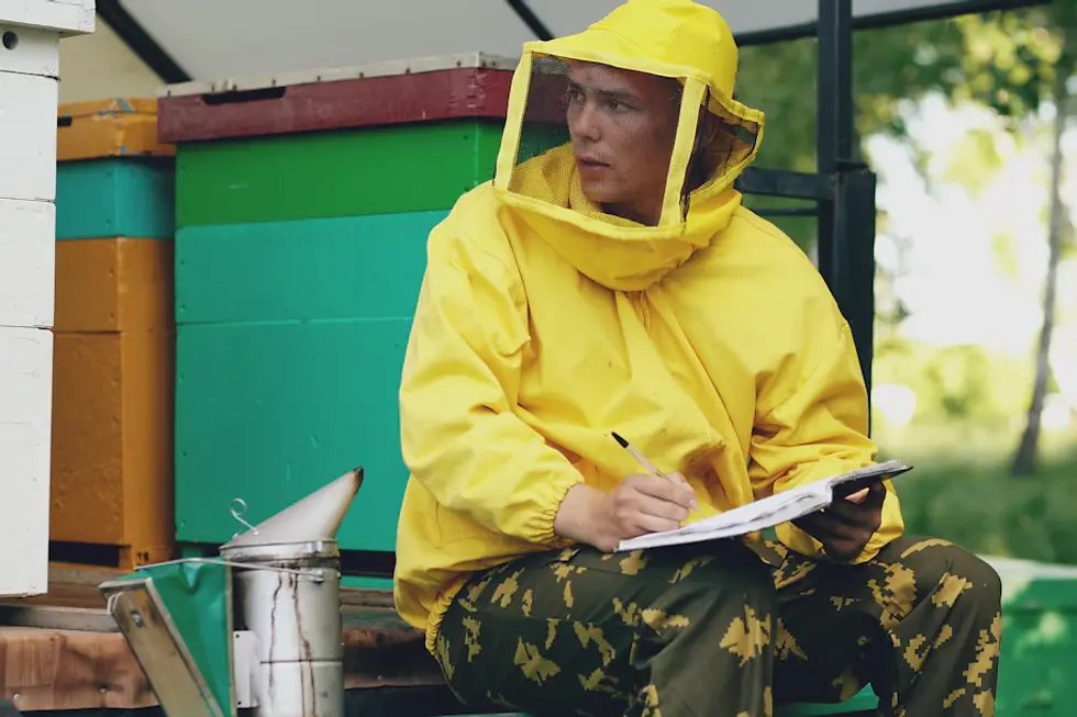 Understanding Inspection Reports: A Comprehensive Guide for Property Owners