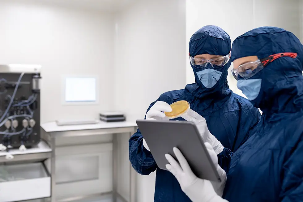 Unveiling Environmental Considerations in Commercial Property Inspections