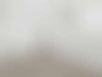 The Ultimate Guide to Tenant Improvements and Inspections: What Every Tenant Should Know