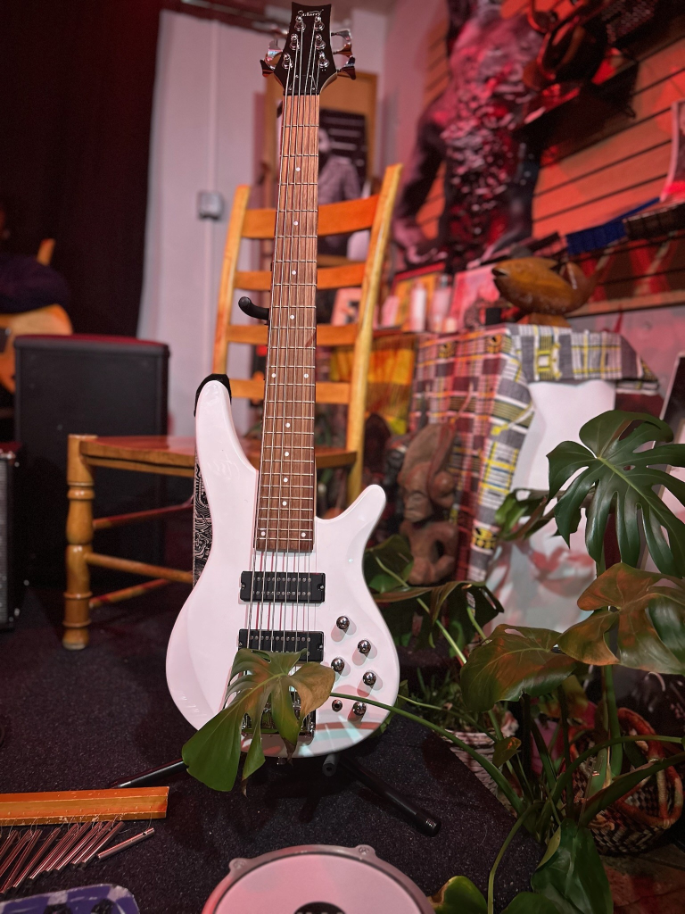 Quite a pretty instrument, wouldn't you say?