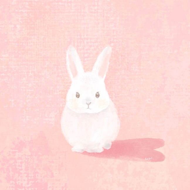 うさぎの想い