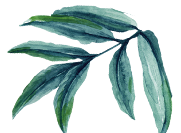 Watercolor Green Leaves_edited.png