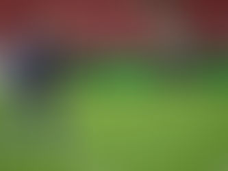 หัวหน้า Barnsley ออกจากการเป็นหัวหน้าโค้ชของ New York Red Bulls