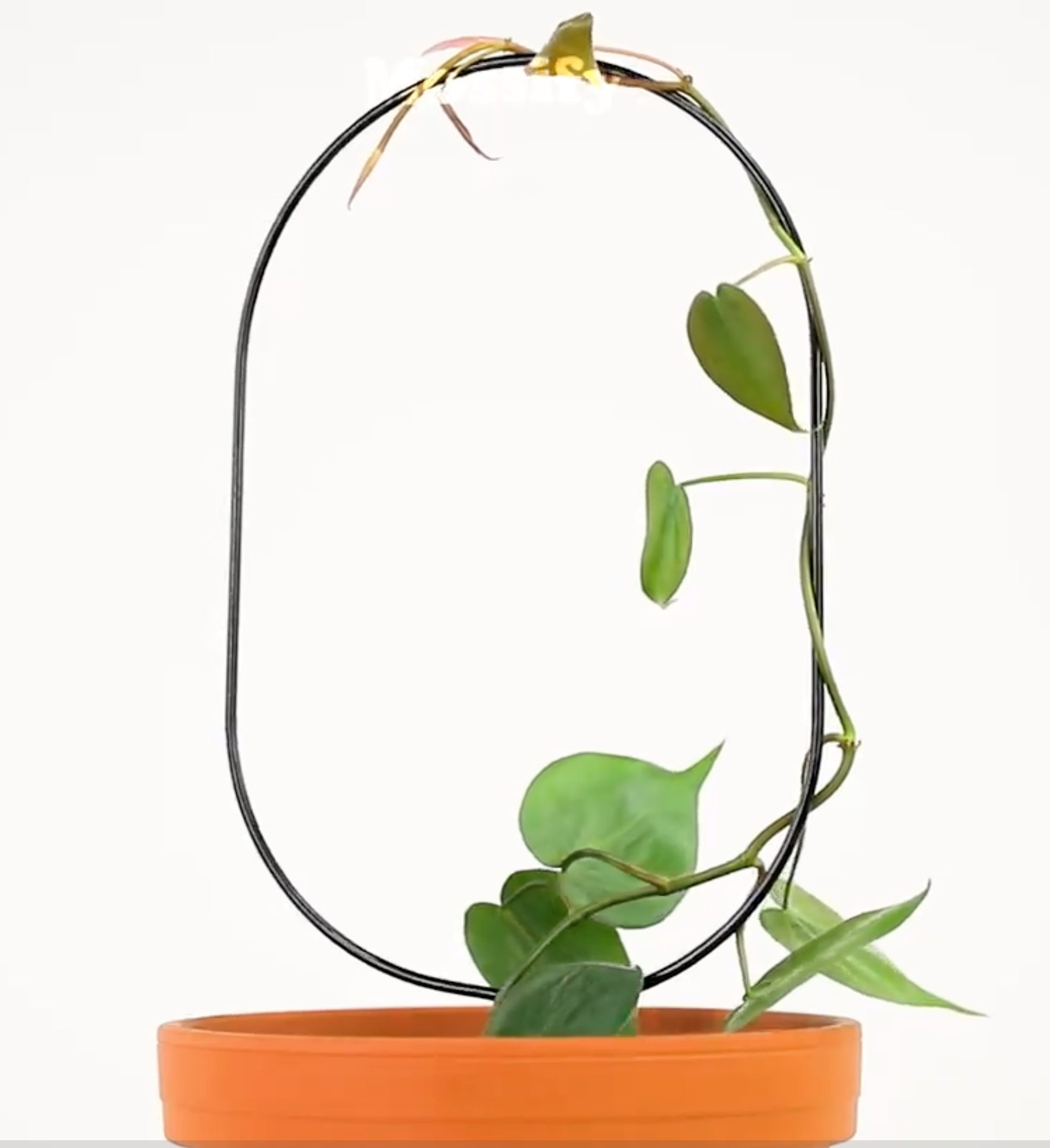 Oval Metal Plant Trellis – 17” Support For Planters Vertical