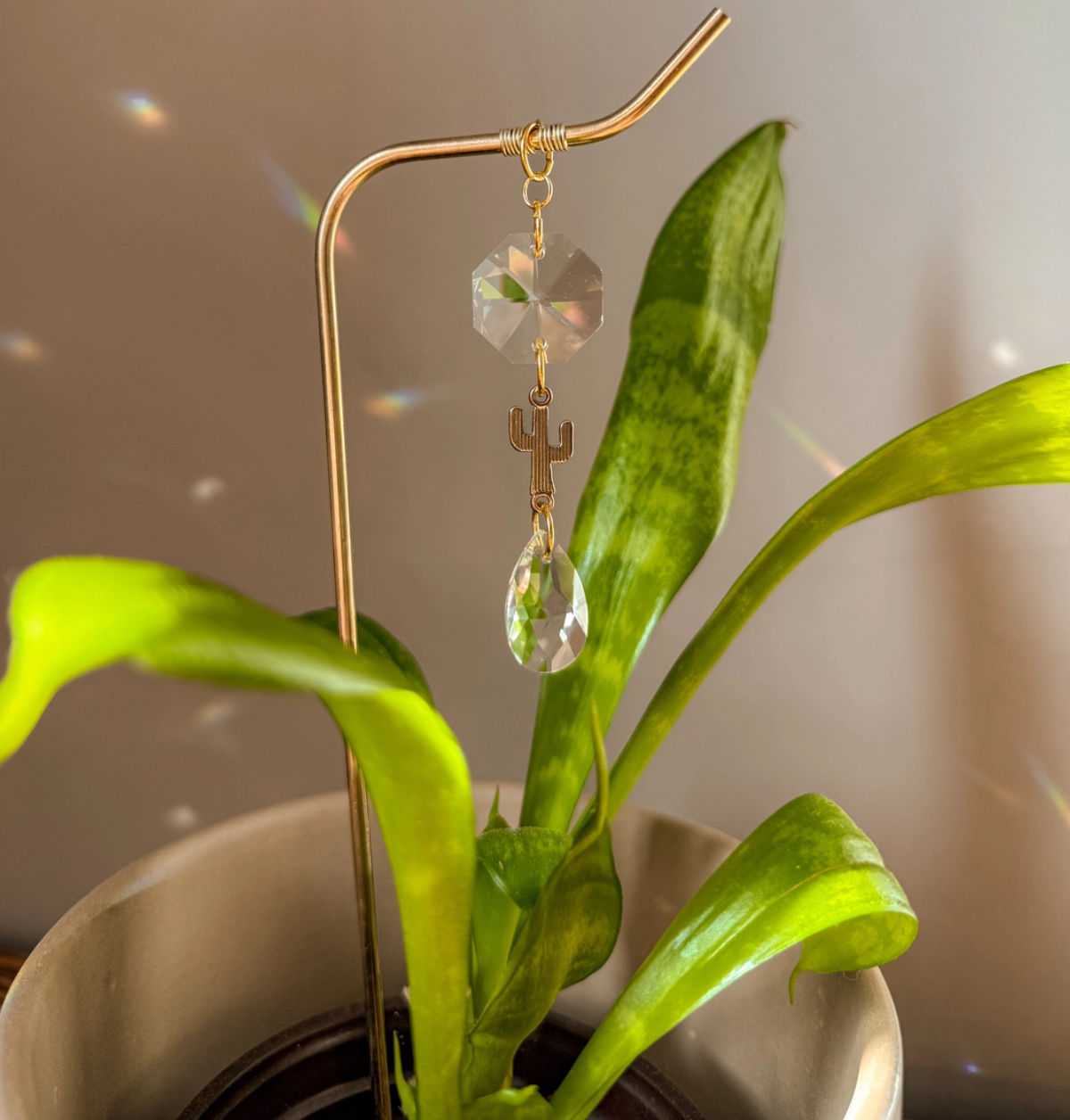 Plant Stake | Suncatcher + Cactus Charm | Gift For Plant Mom