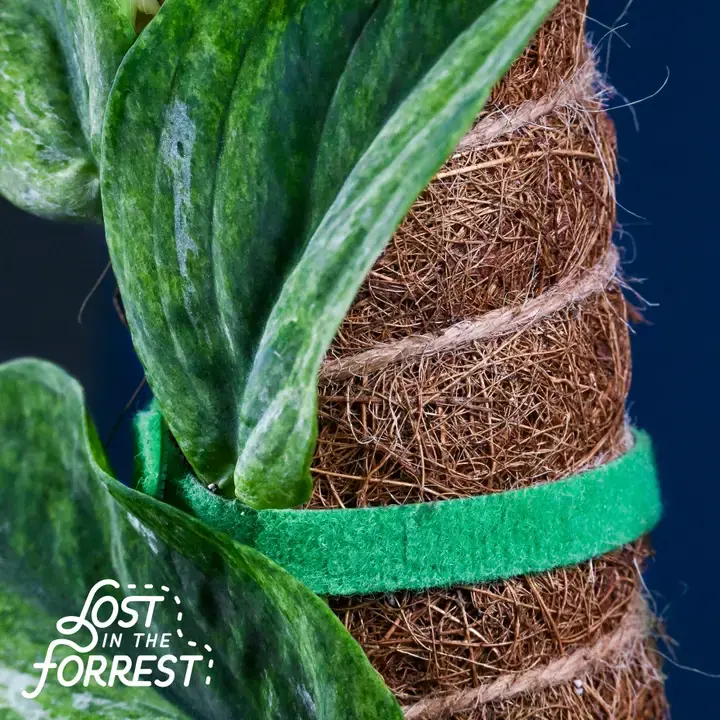 Thumbnail: Stackable Coir Pole