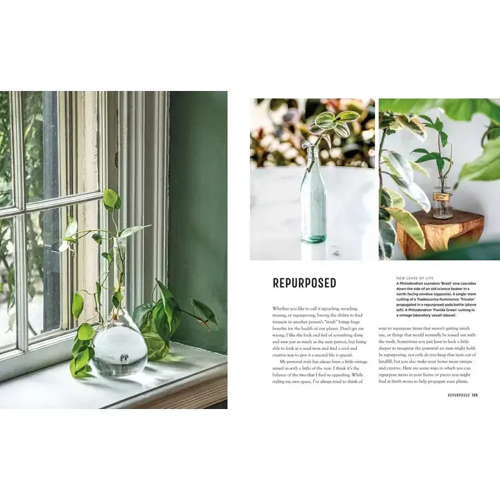 Thumbnail: Propagation Handbook By Hilton Carter