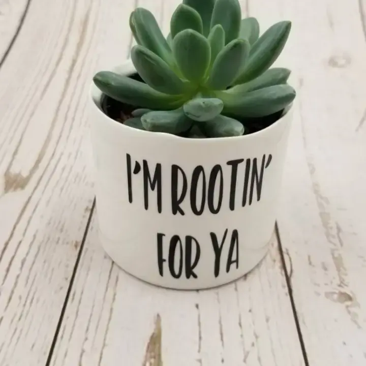 Thumbnail: Punny Plant Pot
