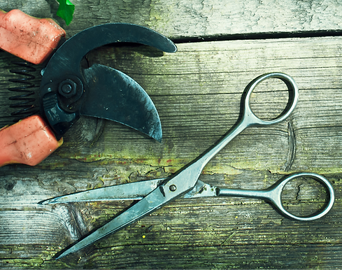 Gardening Tools_edited.png