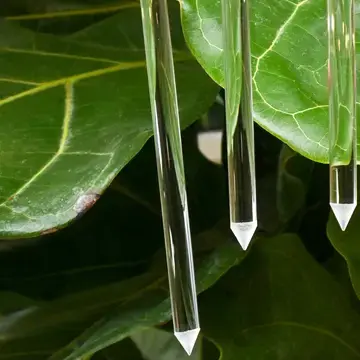 Thumbnail: Glassvine Plant Support - Hoop