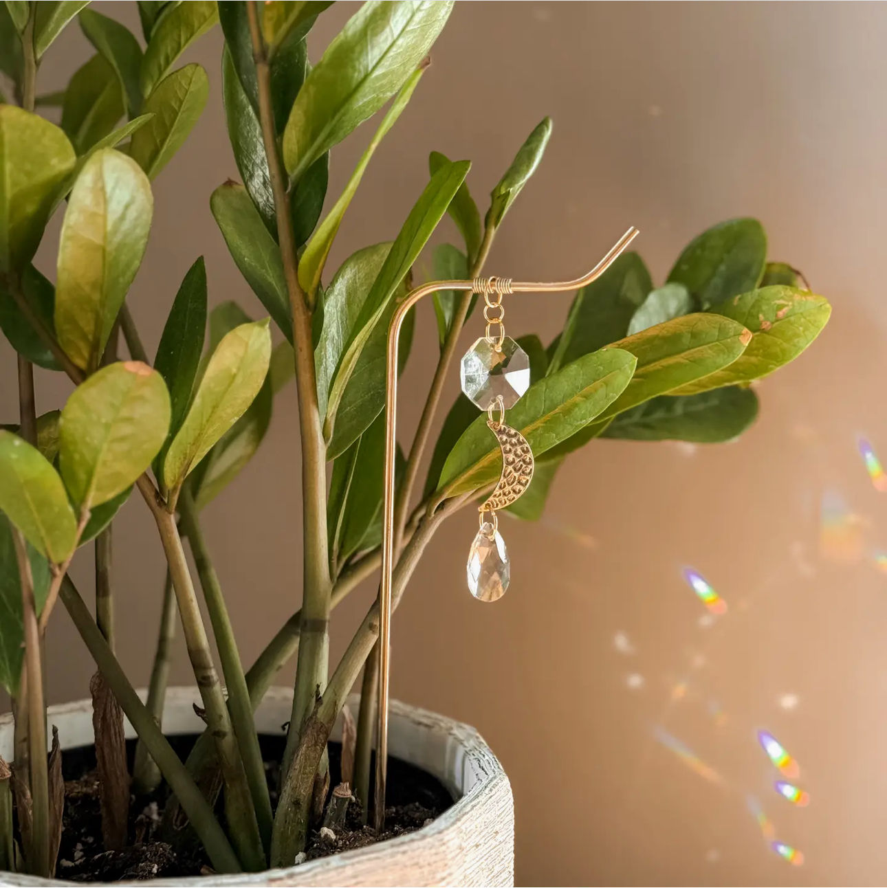 Plant Charm | Suncatcher + Moon | Houseplant Vine Jewelry