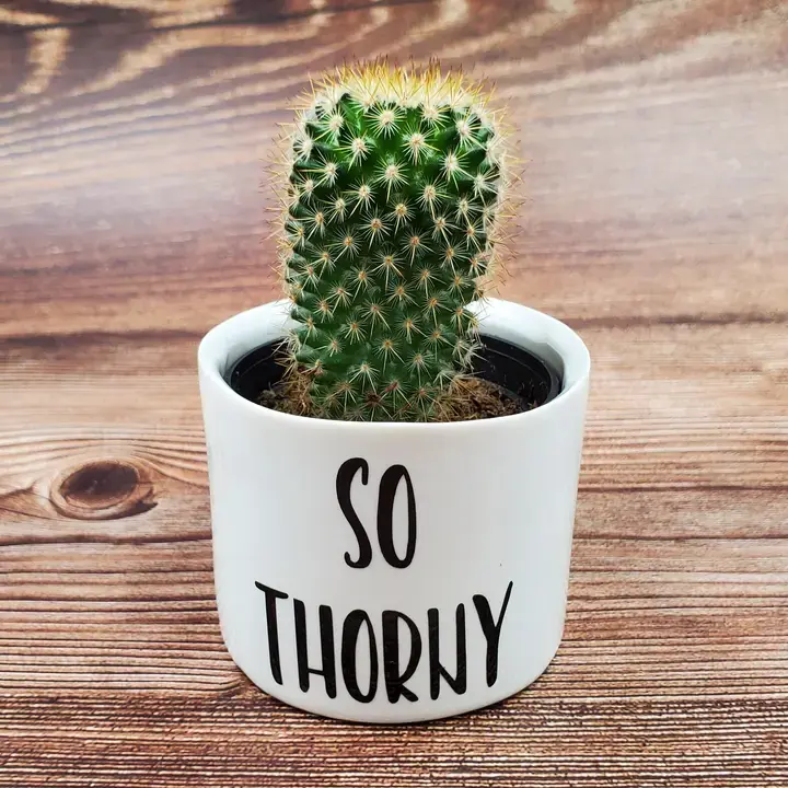 Thumbnail: Punny Plant Pot