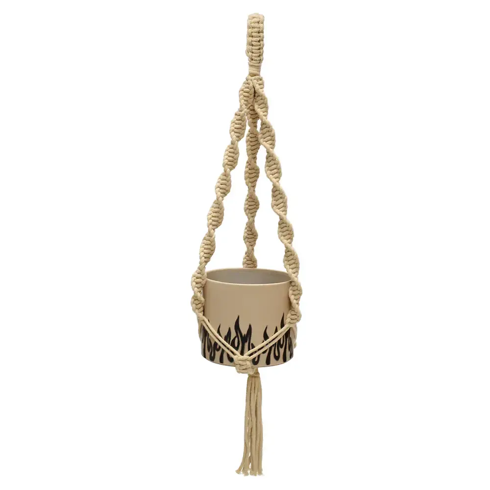 Double Helix Plant Hanger