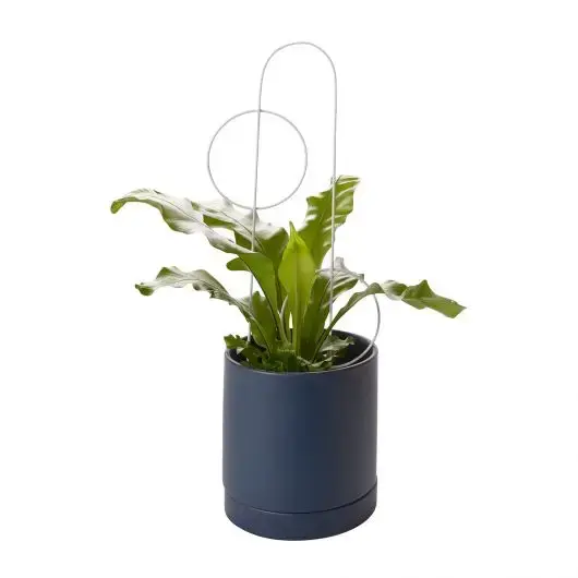 Thumbnail: Concentric Trellis