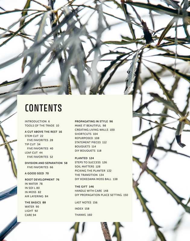 Thumbnail: Propagation Handbook By Hilton Carter