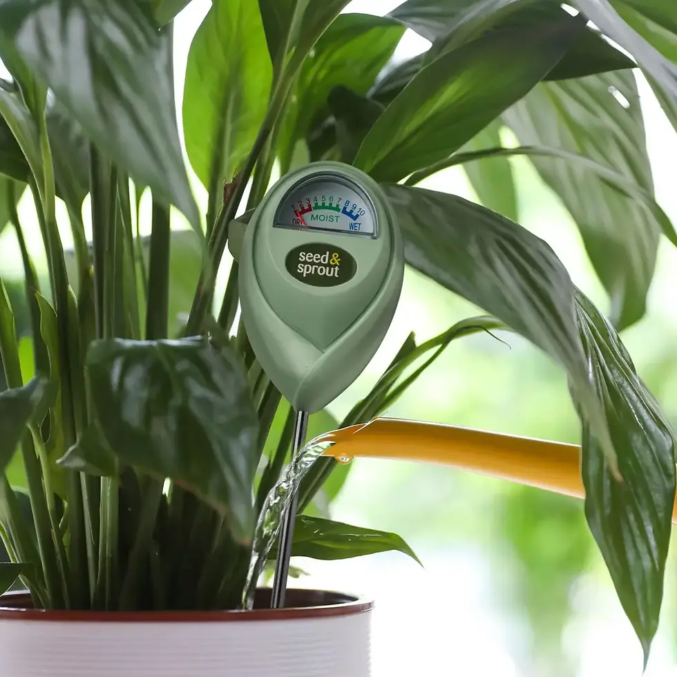 Thumbnail: Seed & Sprout Potted Plant Moisture Meter