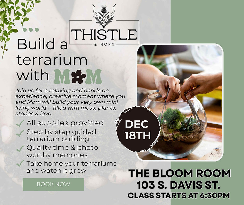 Build a Terrarium with Mom