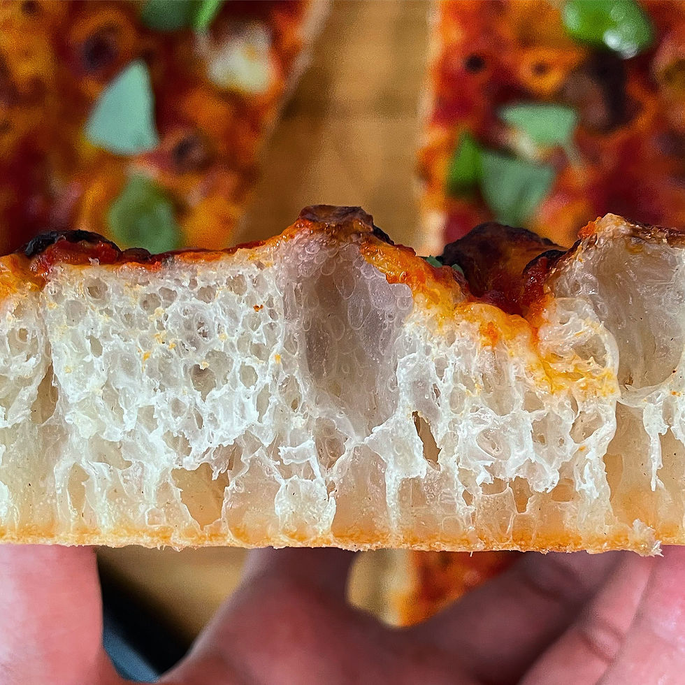 No-Knead Pizza