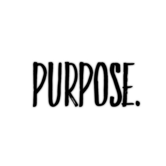 Pursuing The Quest For Purpose!