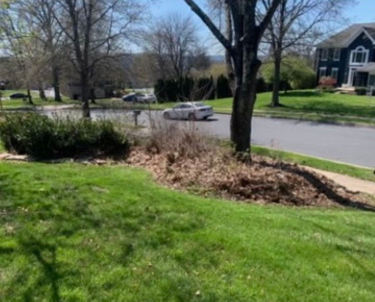 23736153-D791-4E21-998E-8E4BB797F959