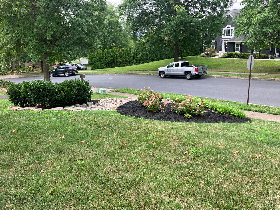 08E3993E-3551-41B1-BDAC-A09F6D50DD04