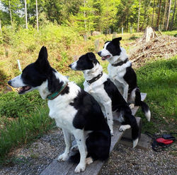 FB_IMG_1765828196177