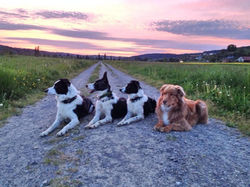 WhatsApp Image 2025-12-16 at 20.05.23 (1)