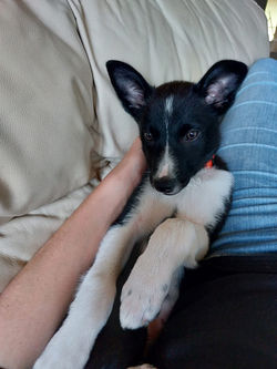 FB_IMG_1749675188949