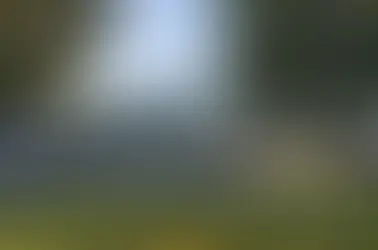 Strategische Partnerschaft in Salach