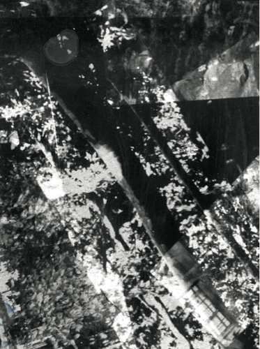 20250501_094731439_iOS.gif
