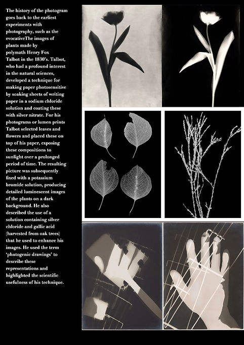 photogram pages.2.jpeg