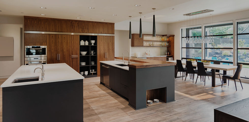 Kitchen Remodeling_edited_edited.jpg