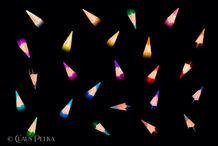 Foto | Bild: Buntstift - Spitzen.
Format: JPG | 9000 x 6000 px