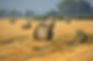 Landwirtschaft Strohballen