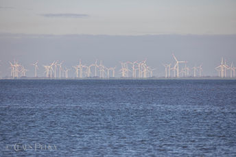 Foto | Bild: Blick auf die Windräder an der Küste Schleswig-Holsteins.
Format: JPG | 6620 x 4412 px