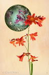 Foto | Bild: Fleurs creatives N° 9
Format: JPG | 6627 x 9938 px