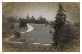 Foto: Impression
Bildgröße: 5184 x 3456 px