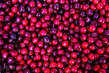 Foto | Bild: Kirschen.
Format: JPG | 6720 x 4480 px