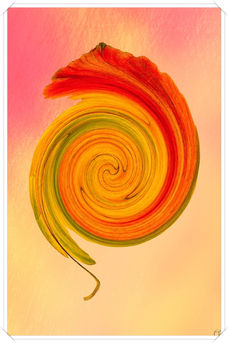 Bild: Remous Colore Originale N° 1
Bildgröße: 6000 x 9000 px